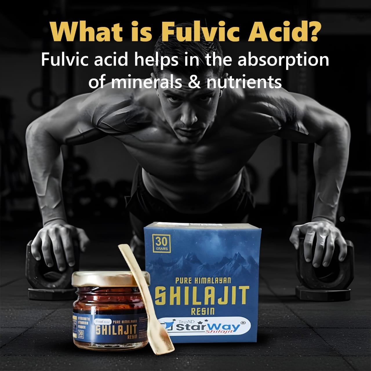 Shilajit Resin Original 30 Gram